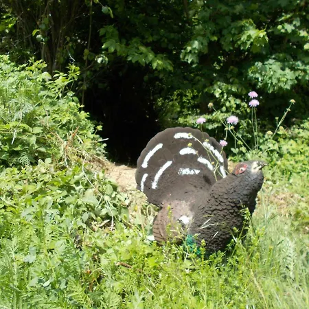 Agriturismo Le Giaire Alloggio per agriturismo *